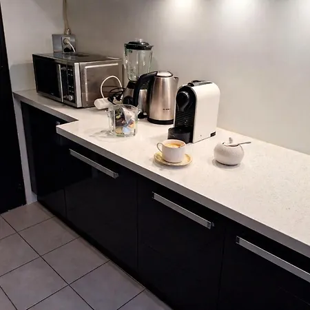 公寓 Balcony With Alpine Views, Garage And Parking, Geneva 15 Min *